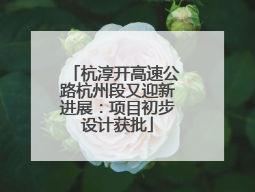 杭淳开高速公路杭州段又迎新进展：项目初步设计获批