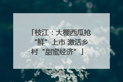 枝江：大棚西瓜抢“鲜”上市 激活乡村“甜蜜经济”