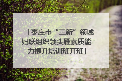 枣庄市“三新”领域妇联组织领头雁素质能力提升培训班开班