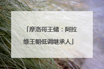 摩洛哥王储：阿拉维王朝低调继承人
