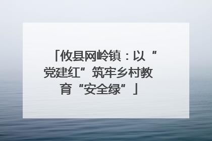 攸县网岭镇：以“党建红”筑牢乡村教育“安全绿”