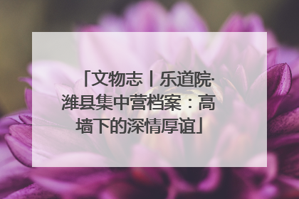 文物志丨乐道院·潍县集中营档案：高墙下的深情厚谊