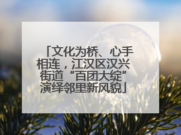 文化为桥、心手相连，江汉区汉兴街道“百团大绽”演绎邻里新风貌