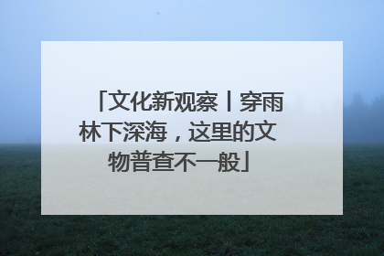 文化新观察丨穿雨林下深海，这里的文物普查不一般