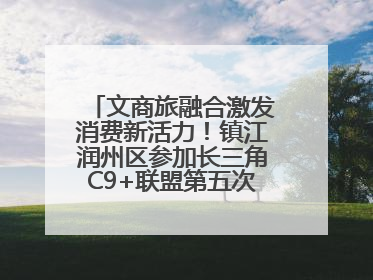 文商旅融合激发消费新活力！镇江润州区参加长三角C9+联盟第五次联席会议