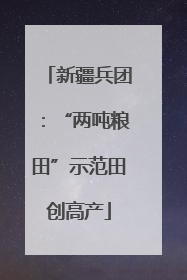 新疆兵团：“两吨粮田”示范田创高产