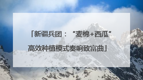 新疆兵团：“麦棉+西瓜”高效种植模式奏响致富曲