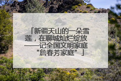 新疆天山的一朵雪莲，在聊城灿烂绽放——记全国文明家庭“詹春芳家庭”