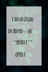 新余高新区取缔一家“黑鞋厂”(图)