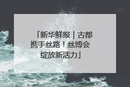 新华鲜报｜古都携手丝路！丝博会绽放新活力