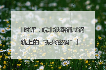 时评：皖北铁路铺就钢轨上的“振兴密码”