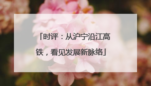 时评：从沪宁沿江高铁，看见发展新脉络
