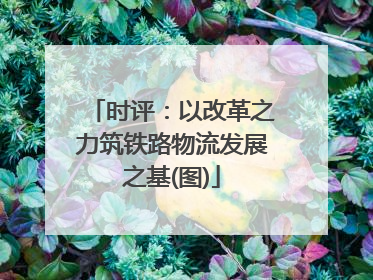 时评：以改革之力筑铁路物流发展之基(图)