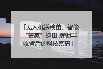 无人机送秧苗、智能“管家”巡田 解锁丰收背后的科技密码