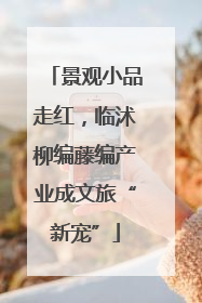 景观小品走红，临沭柳编藤编产业成文旅“新宠”