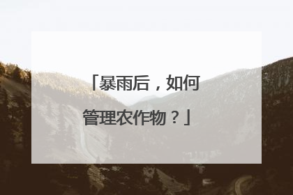 暴雨后，如何管理农作物？