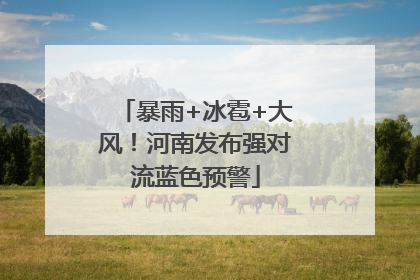 暴雨+冰雹+大风！河南发布强对流蓝色预警