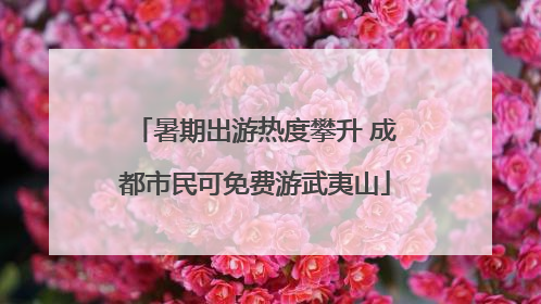 暑期出游热度攀升 成都市民可免费游武夷山