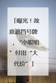 曝光！故意遮挡号牌，“小聪明”付出“大代价”