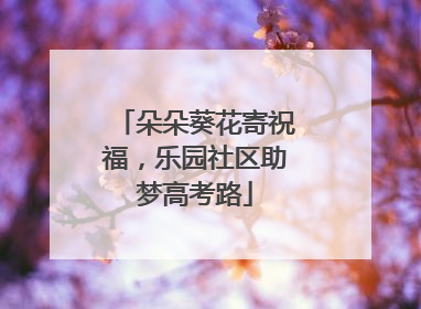 朵朵葵花寄祝福，乐园社区助梦高考路