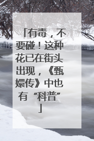有毒，不要碰！这种花已在街头出现，《甄嬛传》中也有“科普”