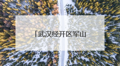 武汉经开区军山街道开展节前环境综合大整治行动