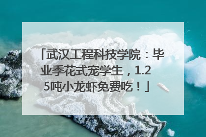 武汉工程科技学院：毕业季花式宠学生，1.25吨小龙虾免费吃！