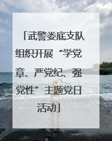 武警娄底支队组织开展“学党章、严党纪、强党性”主题党日活动