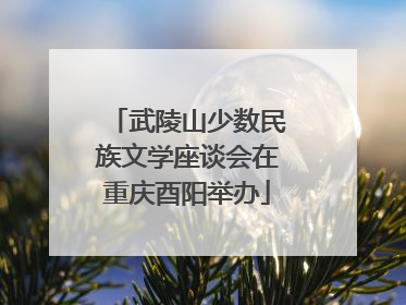 武陵山少数民族文学座谈会在重庆酉阳举办