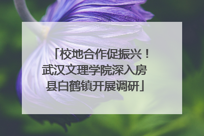 校地合作促振兴！武汉文理学院深入房县白鹤镇开展调研