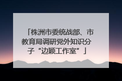 株洲市委统战部、市教育局调研党外知识分子“边颖工作室”
