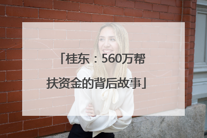 桂东：560万帮扶资金的背后故事