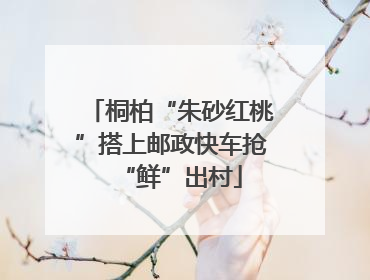 桐柏“朱砂红桃”搭上邮政快车抢“鲜”出村