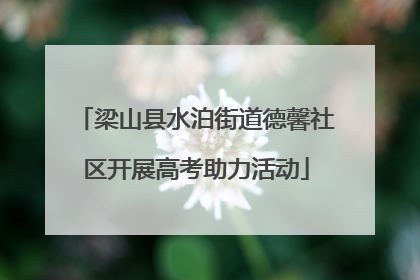 梁山县水泊街道德馨社区开展高考助力活动