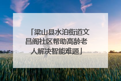 梁山县水泊街道文昌阁社区帮助高龄老人解决智能难题