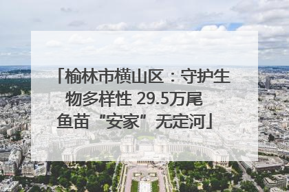 榆林市横山区：守护生物多样性 29.5万尾鱼苗“安家”无定河