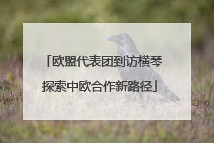 欧盟代表团到访横琴 探索中欧合作新路径