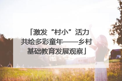 激发“村小”活力 共绘多彩童年——乡村基础教育发展观察
