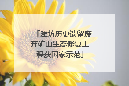 潍坊历史遗留废弃矿山生态修复工程获国家示范