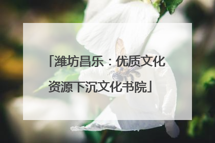 潍坊昌乐：优质文化资源下沉文化书院