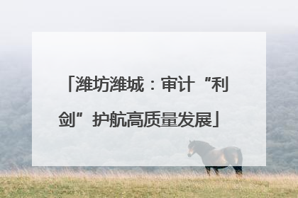 潍坊潍城：审计“利剑”护航高质量发展