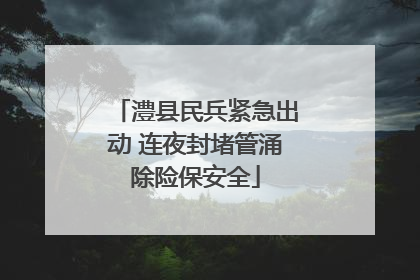 澧县民兵紧急出动 连夜封堵管涌除险保安全