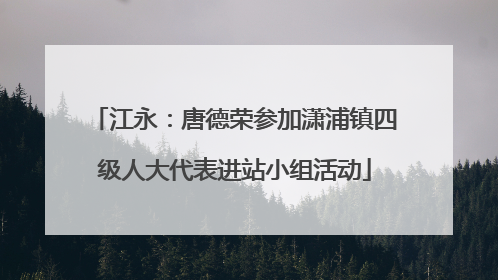 江永：唐德荣参加潇浦镇四级人大代表进站小组活动