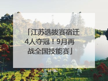 江苏选拔赛宿迁4人夺冠！9月再战全国技能赛