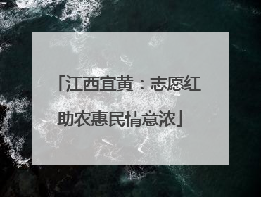 江西宜黄：志愿红助农惠民情意浓