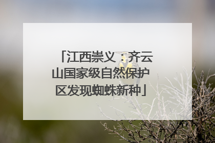 江西崇义：齐云山国家级自然保护区发现蜘蛛新种