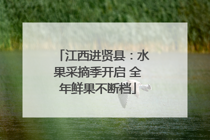 江西进贤县：水果采摘季开启 全年鲜果不断档