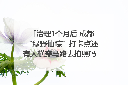 治理1个月后 成都“绿野仙踪”打卡点还有人横穿马路去拍照吗？｜民情瞭望