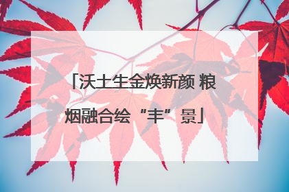 沃土生金焕新颜 粮烟融合绘“丰”景