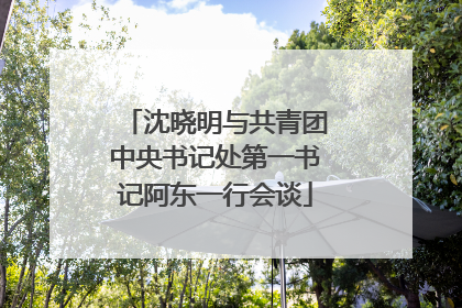 沈晓明与共青团中央书记处第一书记阿东一行会谈